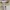 Nike Streetwear Sportswear Hoody Pria white photo 3
