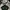 Polo Ralph Lauren Casual Polo Shirt Pria Green