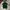 Polo Ralph Lauren Casual Polo shirt Pria green photo 1