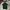 Polo Ralph Lauren Casual Polo Shirt Pria Green