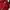 Columbia Gorpcore Puffer jacket Pria red photo 4