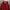 Columbia Gorpcore Puffer jacket Pria red photo 2