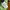 Ader Streetwear Luxury Sweatshirt Pria green photo 3