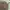 Ader Streetwear Luxury Sweatshirt Pria Green