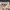 Burberry Vintage Y2K Polo shirt Pria cream photo 3