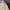 Burberry Vintage Y2K Polo shirt Pria cream photo 2