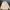 Burberry Vintage Y2K Polo Shirt Pria Cream