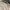 Burberry Vintage Y2K Polo shirt Pria cream photo 4