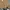 Carhartt Streetwear Casual Sweater Pria brown photo 3