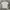 Minimalist Polo shirt Pria cream photo 1