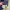 Champion Streetwear Y2K Track jacket Pria navy photo 4