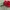 Crocs Y2K Pria red photo 1