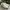 Airwalk Sportswear Casual shoe Pria white gray photo 1