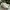 Airwalk Sportswear Casual Shoe Pria White Gray