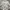 Y2K Sportswear Track Jacket Pria White