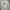 Y2K Sportswear Track jacket Pria white photo 2
