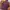 Spao Vintage Capes & poncho Pria purple photo 3
