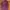 Spao Vintage Capes & poncho Pria purple photo 2