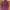 Spao Vintage Capes & Poncho Pria Purple
