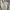 Polo Ralph Lauren Minimalist Casual Harrington jacket Pria cream photo 2