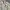 Polo Ralph Lauren Minimalist Casual Harrington jacket Pria cream photo 3