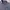 Polo Ralph Lauren Casual Harrington jacket Pria navy photo 4