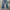 True Religion Vintage Y2K Jeans Pria blue photo 1