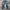True Religion Vintage Y2K Jeans Pria Blue