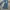 True Religion Vintage Y2K Jeans Pria blue photo 2