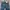 True Religion Vintage Y2K Jeans Pria blue photo 5