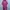 Muslim Baju muslim Kids pink photo 1