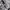 Fendi Luxury Skirt Wanita gray photo 5