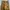 Made in USA Streetwear Skater Pria tan photo 2