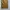 Made in USA Streetwear Skater Pria tan photo 6
