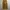 Made in USA Streetwear Skater Pria tan photo 1
