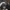 New Era Casual Hat Pria black gray photo 4