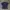 Dickies Streetwear Casual T-shirt Pria navy photo 1