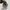 Vans Casual Sneakers Pria white photo 4