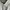 Vintage Streetwear Formal Shirt Pria Multicolor
