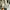 New Balance Streetwear Casual Sneakers Wanita multicolor photo 3