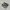Vans Casual Sneakers Pria white black photo 1