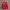 Asics Vintage Jersey Pria red photo 2