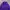FCMM Sportswear Casual Track jacket Pria purple photo 2