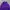 FCMM Sportswear Casual Track Jacket Pria Purple