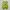 Salomon Casual Sneakers Pria yellow blue photo 5