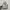 Nike Casual Sneakers Pria gray photo 2