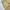 Japanese brand Vintage Y2K Tracksuit Pria cream tan photo 3