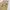 Japanese brand Vintage Y2K Tracksuit Pria cream tan photo 7