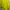 Casual Wanita yellow photo 2