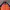Puma Sportswear Casual Track Jacket Pria Orange Navy